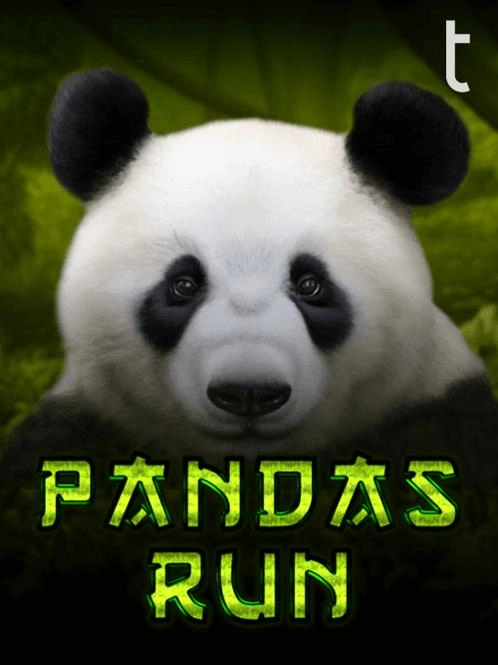 File apk